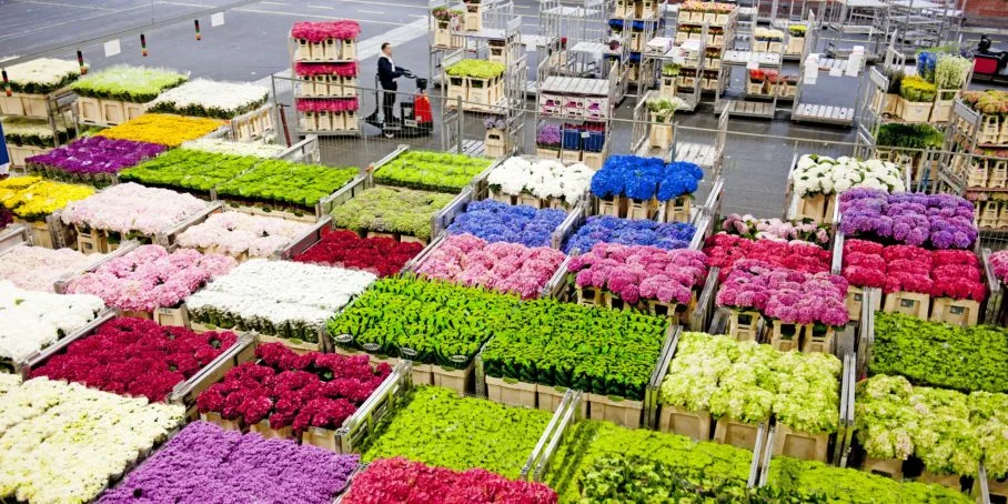 Flower Market